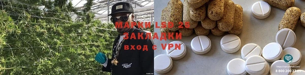крисы Алексин