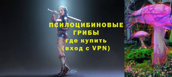 крисы Алексин