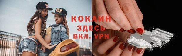 крисы Алексин