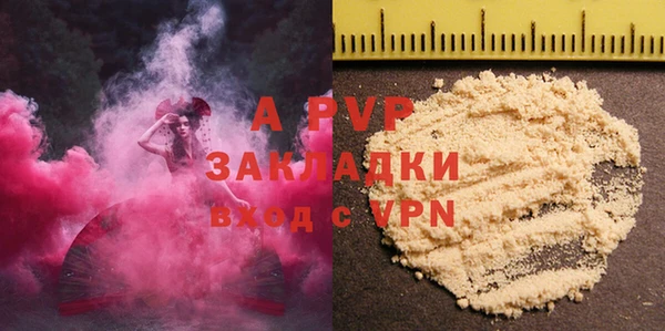 ПСИЛОЦИБИНОВЫЕ ГРИБЫ Дубна