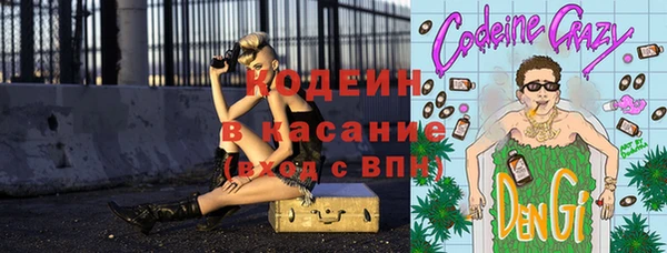 крисы Алексин