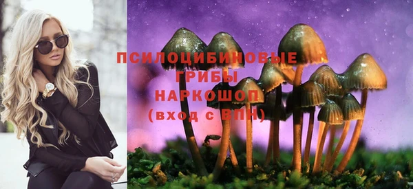крисы Алексин