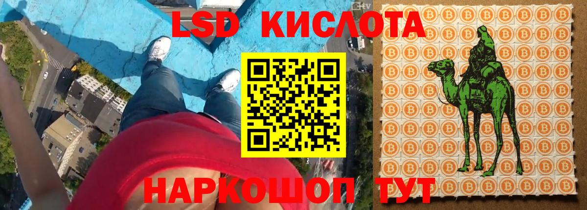 Новозыбков  LSD-25 экстази ecstasy  Вход с VPN  ЛСД экстази ecstasy 