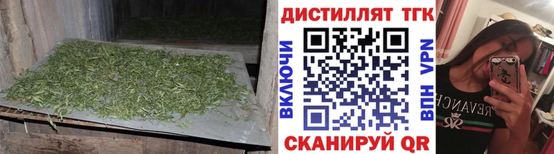 мега Новозыбков ТГК вейп с тгк как найти наркотики