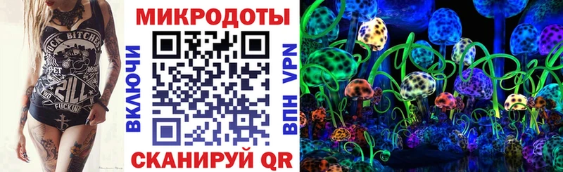 Псилоцибиновые грибы мухоморы Новозыбков