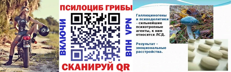 Галлюциногенные грибы Psilocybe купить цена Новозыбков