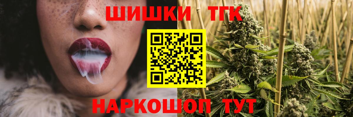 Конопля сатива Новозыбков